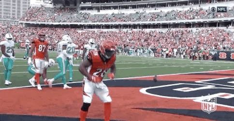 Cincinnati Bengals Fortnite Dance GIF