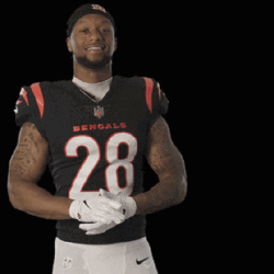 Cincinnati Bengals Joe Mixon GIF