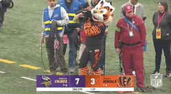 Cincinnati Bengals Mascot Cameraman GIF
