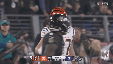 Cincinnati Bengals Pointing GIF