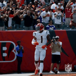 Cincinnati Bengals Who Dey Dancing GIF