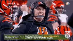 Cincinnati Bengals Yes GIF