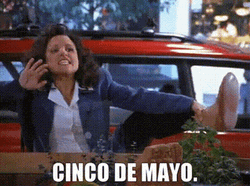 Cinco De Mayo Elaine Benes Seinfeld