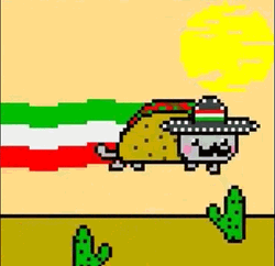 Cinco De Mayo Flying Taco GIF