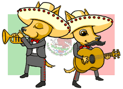 Cinco De Mayo Mariachi Foxes Cartoon GIF