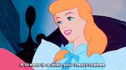 Cinderella A Dream Wish