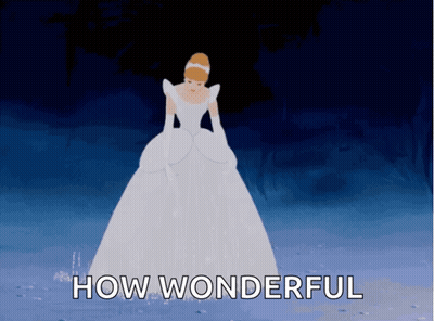 Cinderella Saying How Wonderful GIF