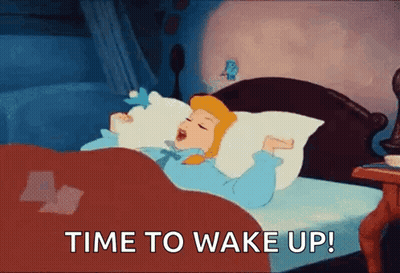 Cinderella Sleeping With Wake Up GIF