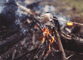 Cinematic Campfire Smores Bonfire GIF