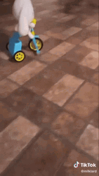 Cinnamoroll Plush Toy Riding Bike GIF