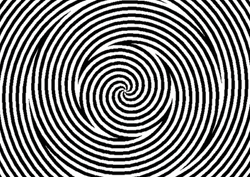 Circle Lines Illusion GIF