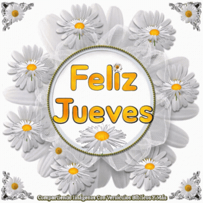 Circle Of Daisies Feliz Jueves GIF