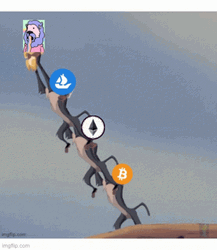 Circle Of Life Meme GIF