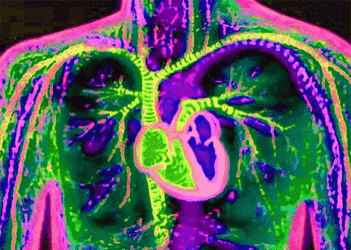 Circulatory System And Cell Survival GIF