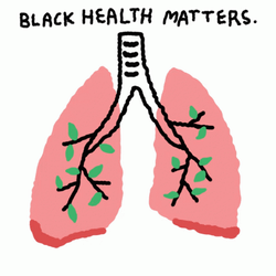 Circulatory System Black Health Matters GIF