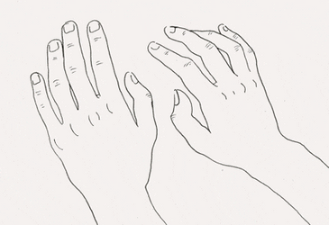 Circulatory System Ongoing Processes GIF