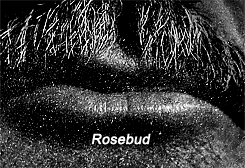 Citizen Kane Rosebud Lips