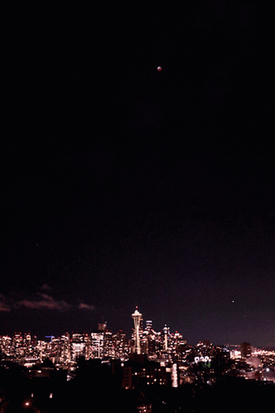 City At Night With Space Needle GIF