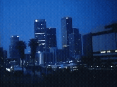 City Skyline At Night With Palm Trees GIF