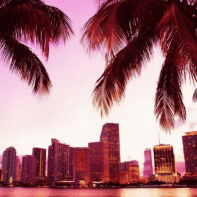 City Skyline With Palm Trees At Sunset GIF