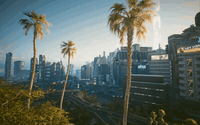 City With Palm Trees And Building Saying Stays GIF