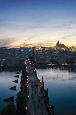 Cityscape Alive With Motion GIF