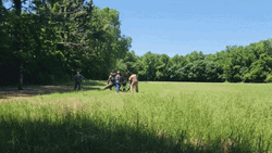 Civil War Secret Lanch GIF