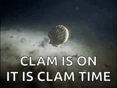 Clam Floating On Sand In Ocean GIF