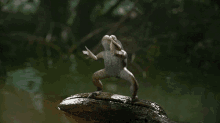 Clapping Frog Cheering