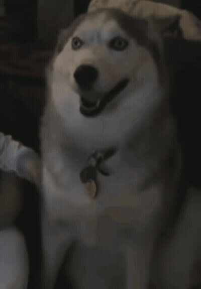 Clapping Hands Saying The Best GIF