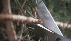 Clark Griswold Christmas Lights Chaos GIF