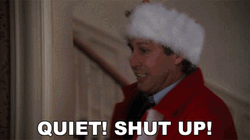 Clark Griswold Quiet Shut Up GIF