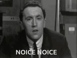 Classic David Frost Noice GIF