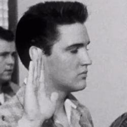 Classic Footage Elvis Swearing GIF