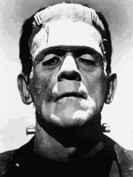 Classic Frankenstein Monster And Elizabeth Image GIF