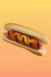 Classic Hot Dog Food