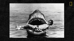 Classic Nat Geo Jaws GIF
