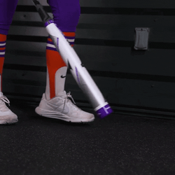 Clemson Baseball Bat GIF