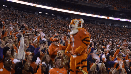 Clemson Mascot With Crowd Cheering GIF