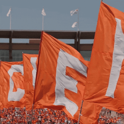 Clemson Orange Flag GIF