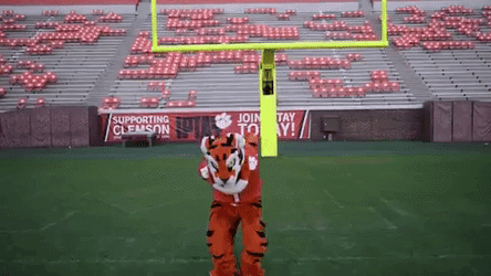 Clemson Tiger Mascot Back Flip GIF