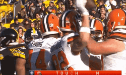 Cleveland Browns Gary Barnidge Touchdown GIF