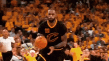 Cleveland Cavaliers Lebron James Defending Ball GIF