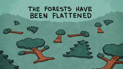 Climate Change Makes The Forests Have Been Flattened GIF