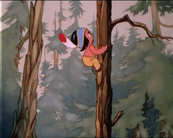 Climbing Little Hiawatha Tree GIF