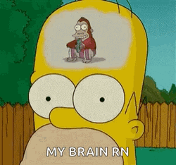 Clinging Monkey Homer Simpson Brain Meme GIF