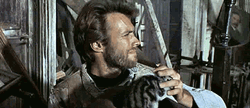 Clint Eastwood Pets Kitten GIF