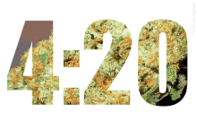Clock Time 420 Marijuana Leaves Background  GIF