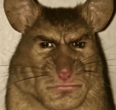 Close Up Angry Rat Face GIF