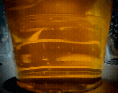 Close Up Beer Glass With Bubbles GIF